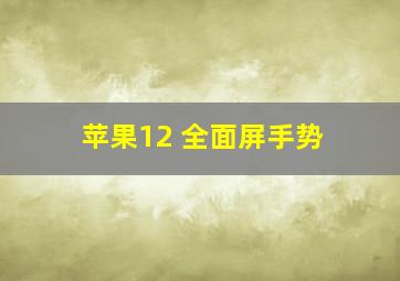 苹果12 全面屏手势